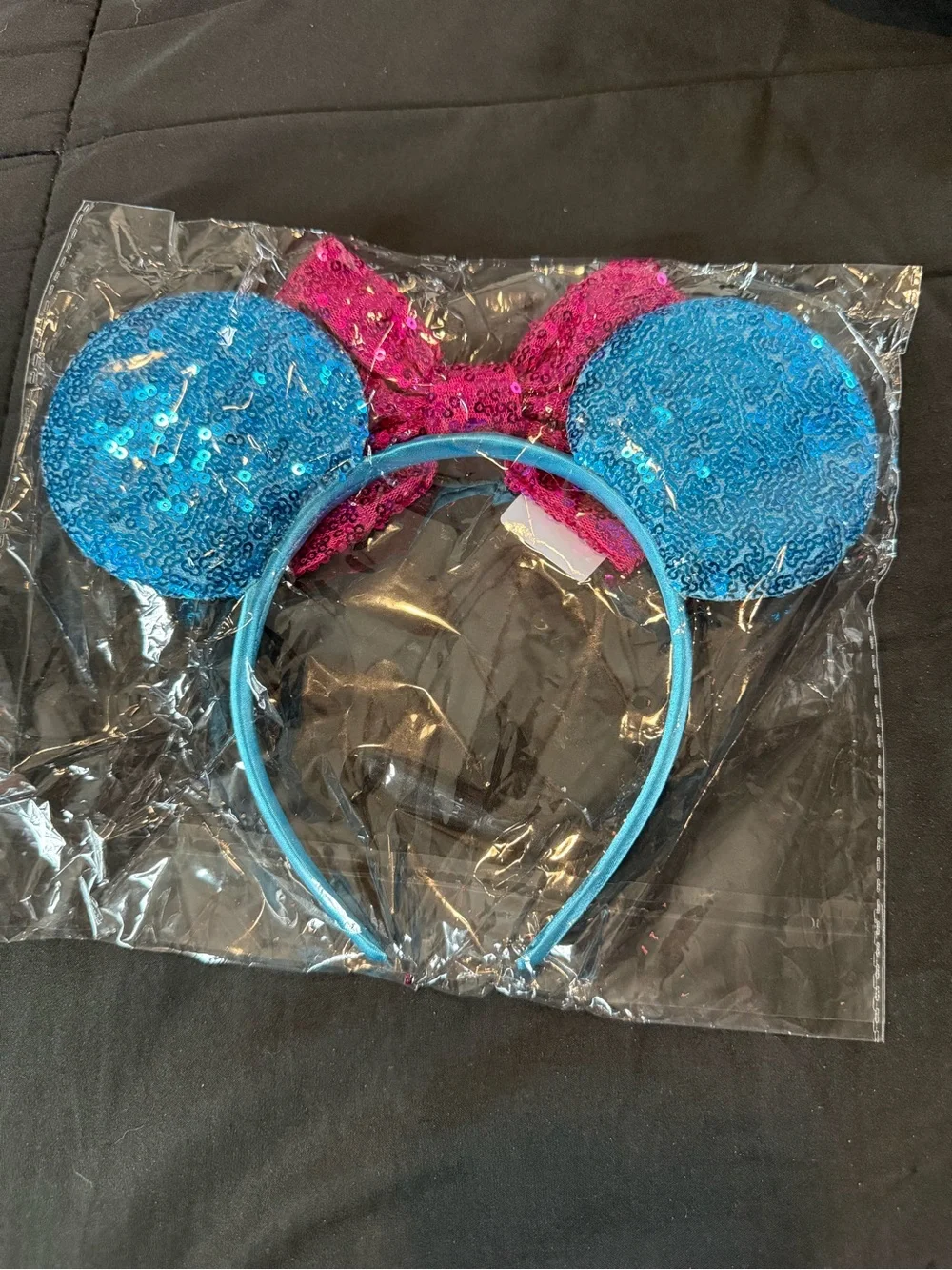 Sully Mickey Ears
